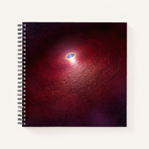 A Neutron Star With A Disc Of Warm Dust. Notebook