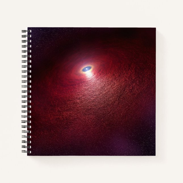 A Neutron Star With A Disc Of Warm Dust. Notebook (Front)