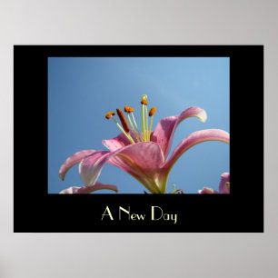 A NEW DAY art prints Pink Calla Lily Flowers Art