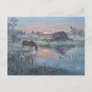 A New Day -* Horse painting Postcard