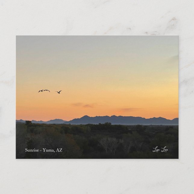 A New Day Postcard (Front)