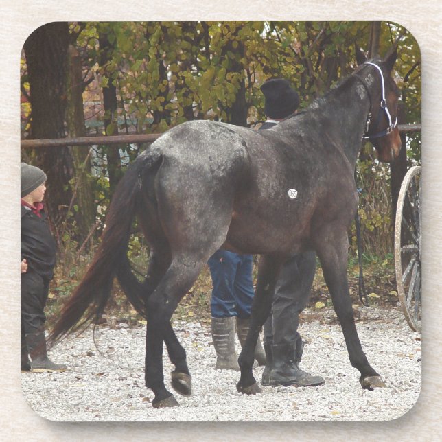 A New Horse Coaster (Front)