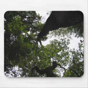 A New Perspective - Trees Mouse Pad