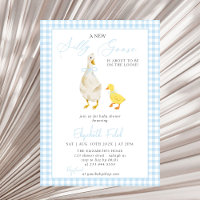 A New Silly Goose Blue Gingham Baby Shower