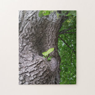 A new twig jigsaw puzzle