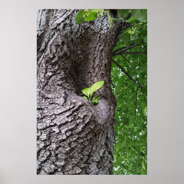 A new twig poster (Front)