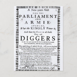 A New Year's Gift Holiday Postcard