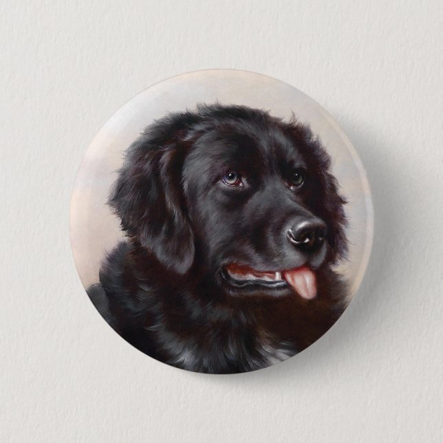 A Newfoundlander Button (Front)