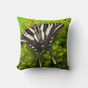 A North American Swallowtail Butterfly Cushion