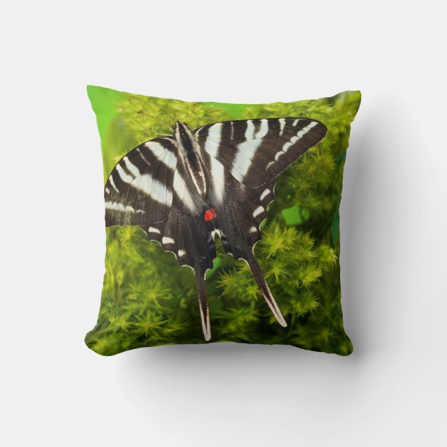 A North American Swallowtail Butterfly Cushion (Front)