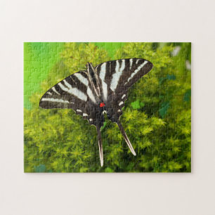 A North American Swallowtail Butterfly Jigsaw Puzzle