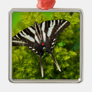 A North American Swallowtail Butterfly Metal Tree Decoration
