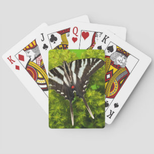 A North American Swallowtail Butterfly Playing Cards