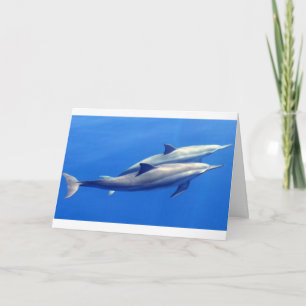 a Note Card