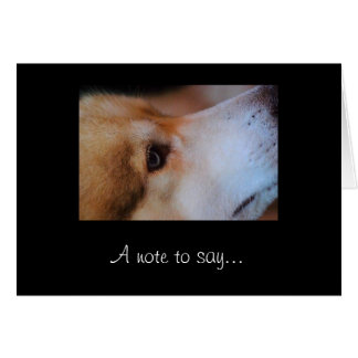 A note to say..