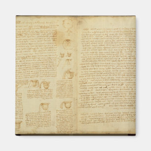 A page from the Codex Leicester, 1508-12 Magnet