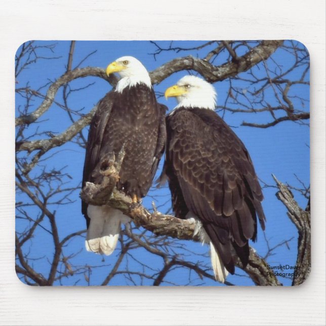 A Pair of Bald Eagles Mouse Pad (Front)