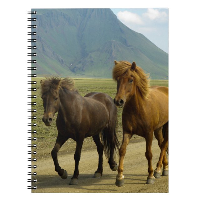 A Pair of Brown Icelandic Ponies Spiral Notebook (Front)