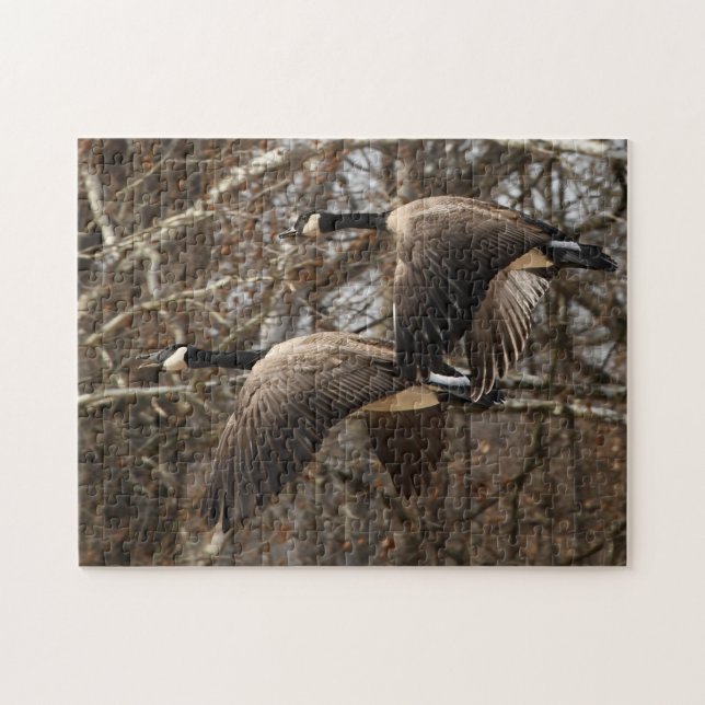 A Pair Of Canada Geese In Flight Jigsaw Puzzle (Horizontal)