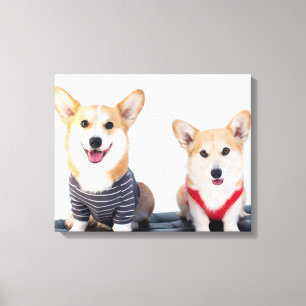 A Pair Of Corgis Sitting On A Bench Canvas Print