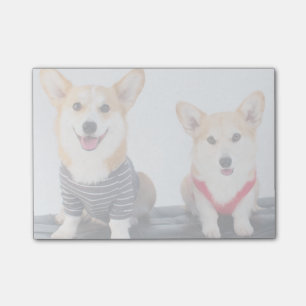 A Pair Of Corgis Sitting On A Bench Post-it Notes