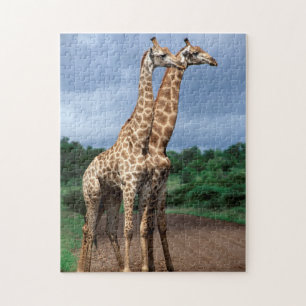 A Pair Of Giraffes On Road, Kruger National Jigsaw Puzzle
