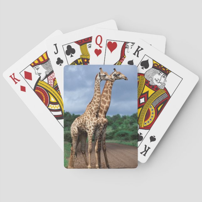 A Pair Of Giraffes On Road, Kruger National Playing Cards (Back)