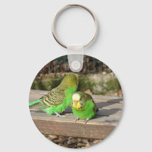 A Pair of Green Budgies on a wooden bench Key Ring