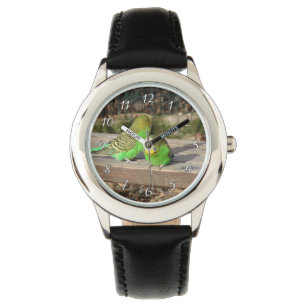 A Pair of Green Budgies on a wooden bench Watch