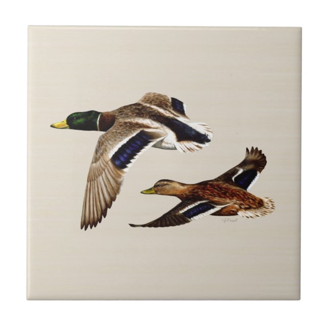 A Pair of Mallard Ducks Tile (Front)