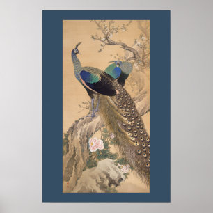 A Pair of Peacocks in Spring by Imao Keinen Poster