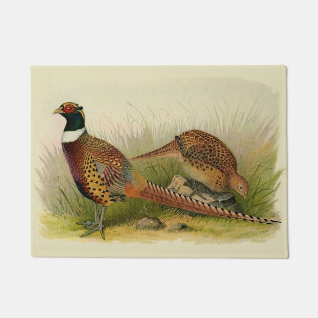 A pair of Ring necked pheasants in a grassy field Doormat (Front)