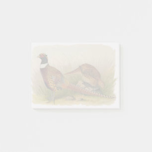 A pair of Ring necked pheasants in a grassy field Post-it Notes