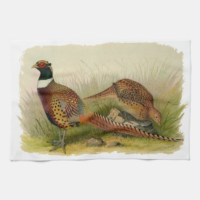 A pair of Ring necked pheasants in a grassy field Tea Towel (Horizontal)
