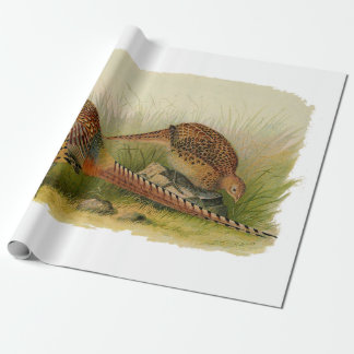 A pair of Ring necked pheasants in a grassy field Wrapping Paper
