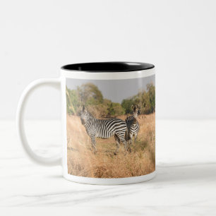 A Pair Of Zebras At Attention In The Lower Zambezi Two-Tone Coffee Mug