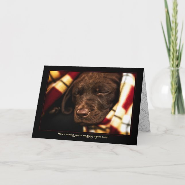 A-PAL -Labrador Retriever Puppy | Get Well Card (Front)