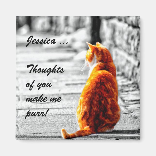 A-PAL Tinted Orange Tabby Cat Painting Custom Magnet (Front)