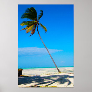 A Palm Poster