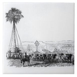 A palm tree being transported to Hyde Park for the Tile