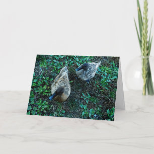 "A Paradox" - A Pair of Ducks Among Green Leaves Card