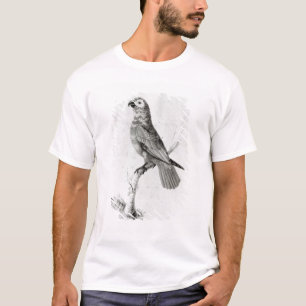 A Parrot, 1786 T-Shirt