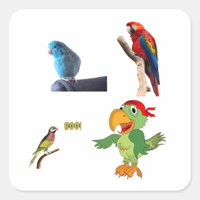 a parrot square sticker (Front)