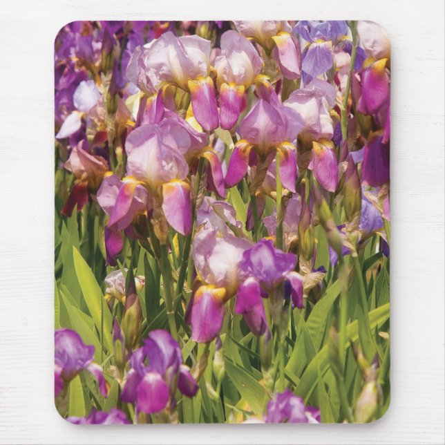 A passion for purple mouse pad (Front)