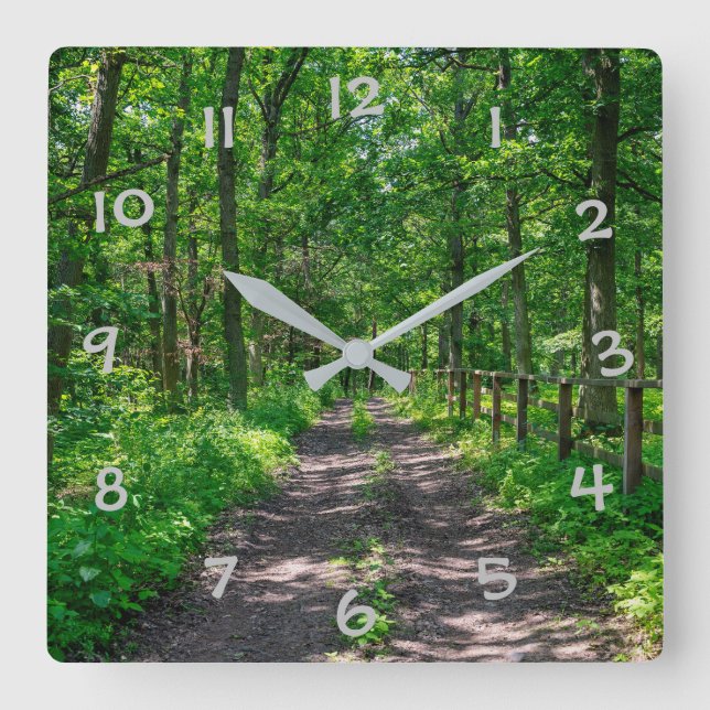 A path in the green forest square wall clock (Front)