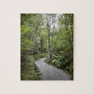 A path through a rain forest at the base of jigsaw puzzle