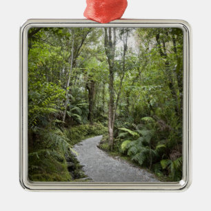 A path through a rain forest at the base of metal tree decoration