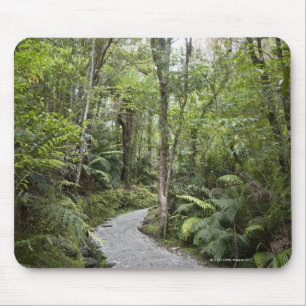 A path through a rain forest at the base of mouse pad