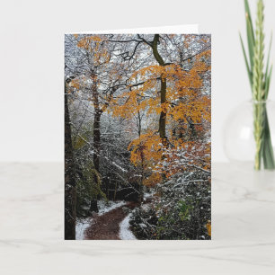A path through the trees card