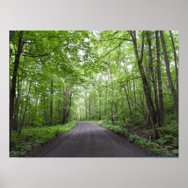 A Peaceful Walk in Woods Poster (Front)